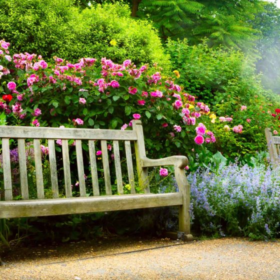 Ihr_Landmarkt_garten_Jahn